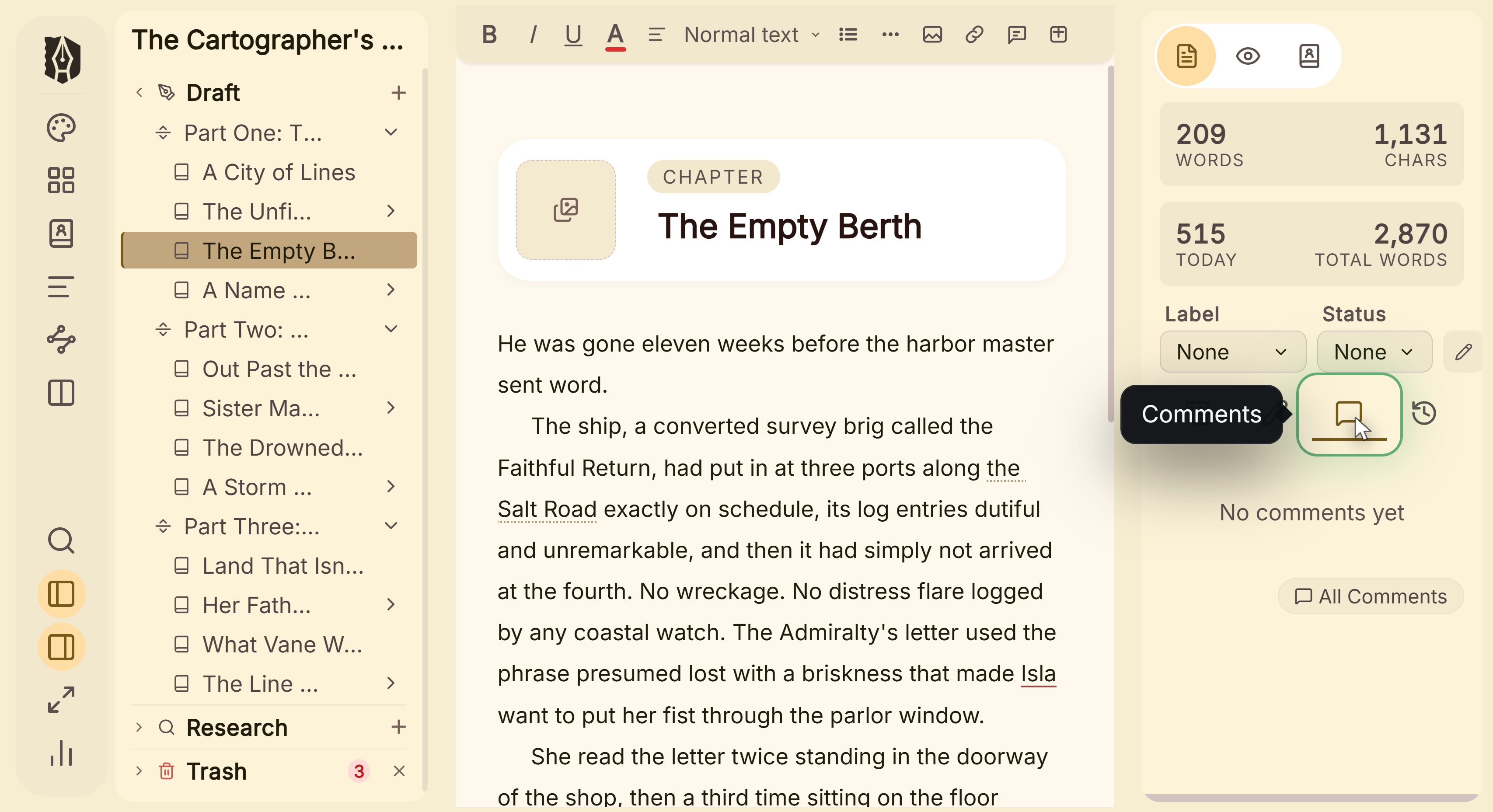 The inspector's comments tab, which collects every note left on the chapter that is open.